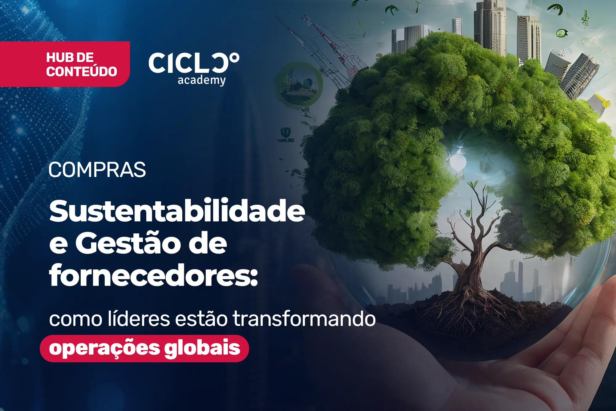 Compras – Sustentabilidade e Gestão de fornecedores: como líderes estão transformando operações globais